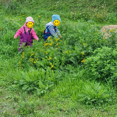 Spaziergang